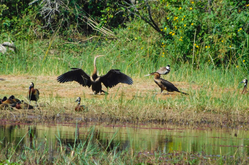 Nature walk on the island